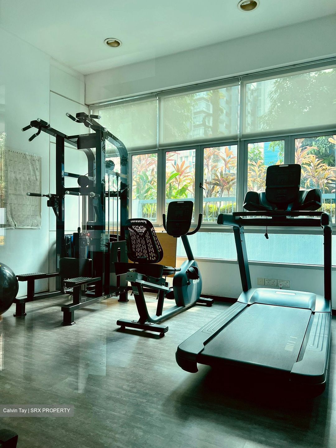 Pasadena (D11), Apartment #434917261